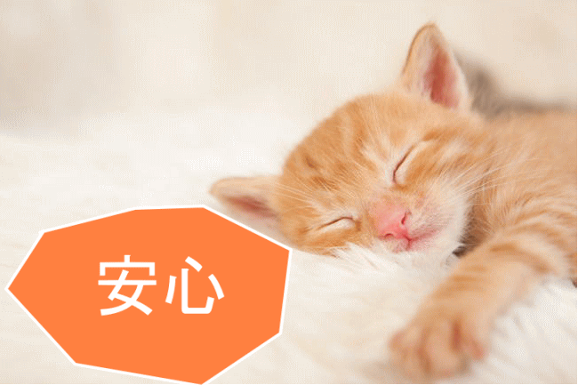 24時間セキュリティーで安心